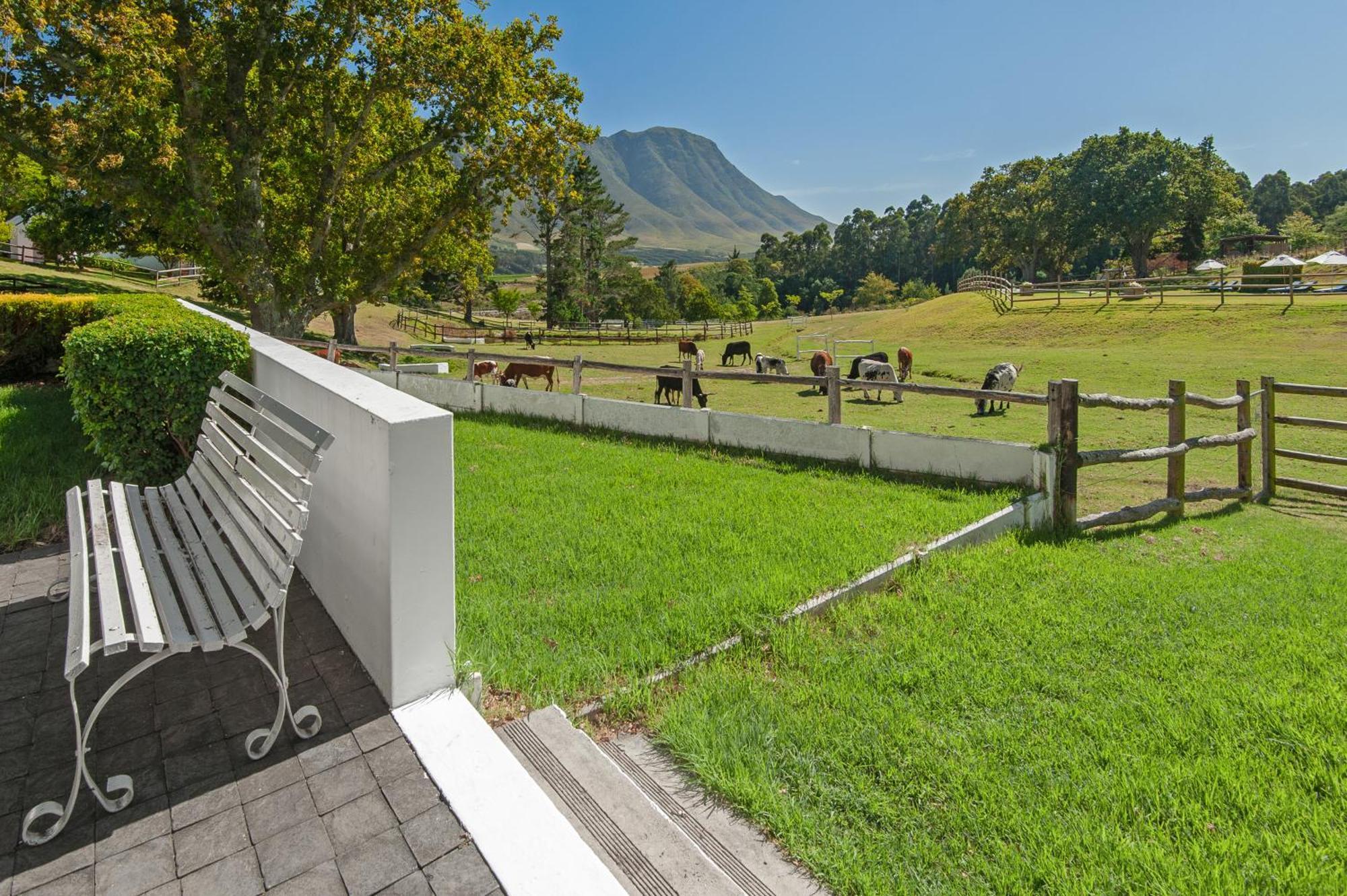 High Season Farm Luxury Cottages Hermanus Exterior foto