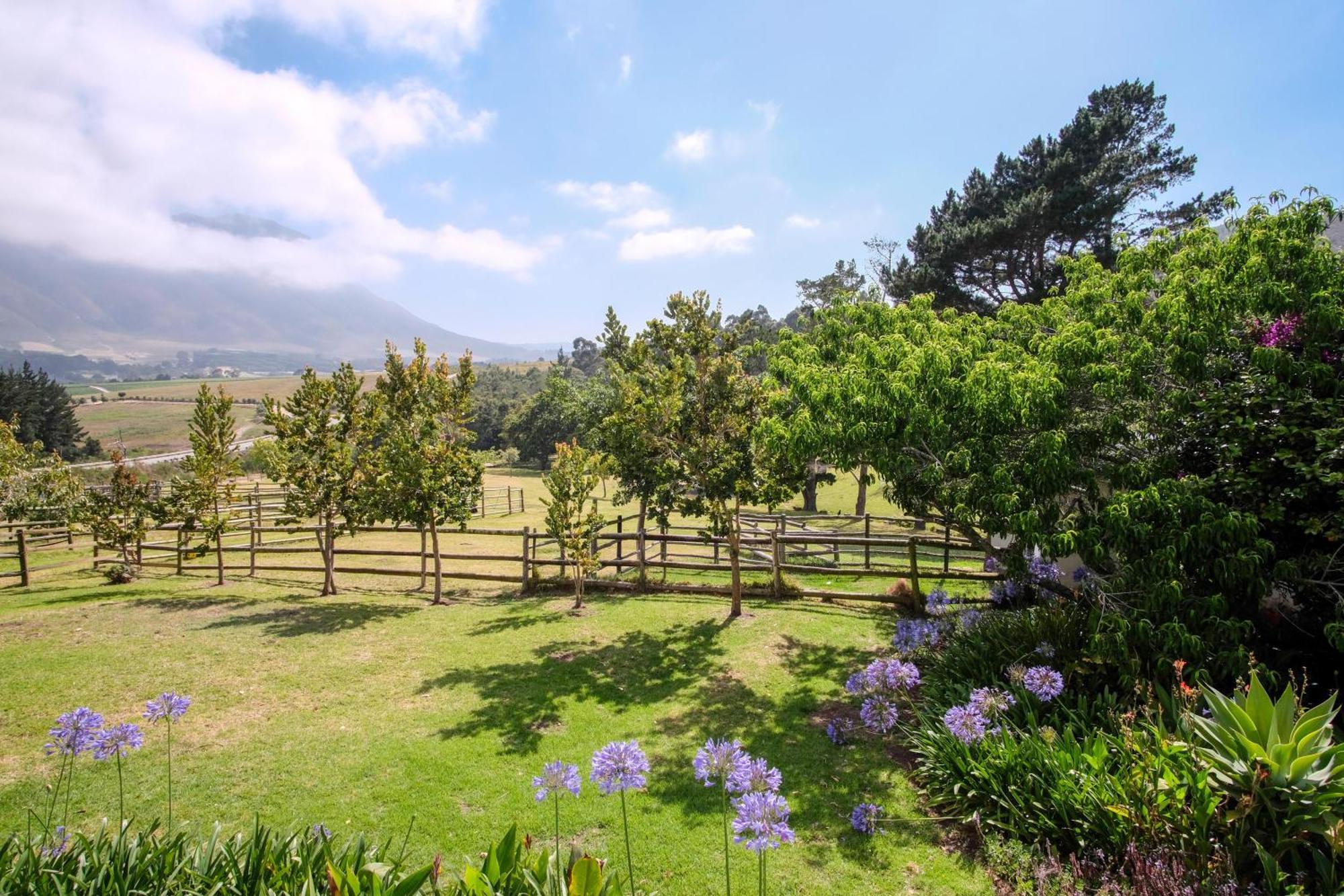 High Season Farm Luxury Cottages Hermanus Zimmer foto